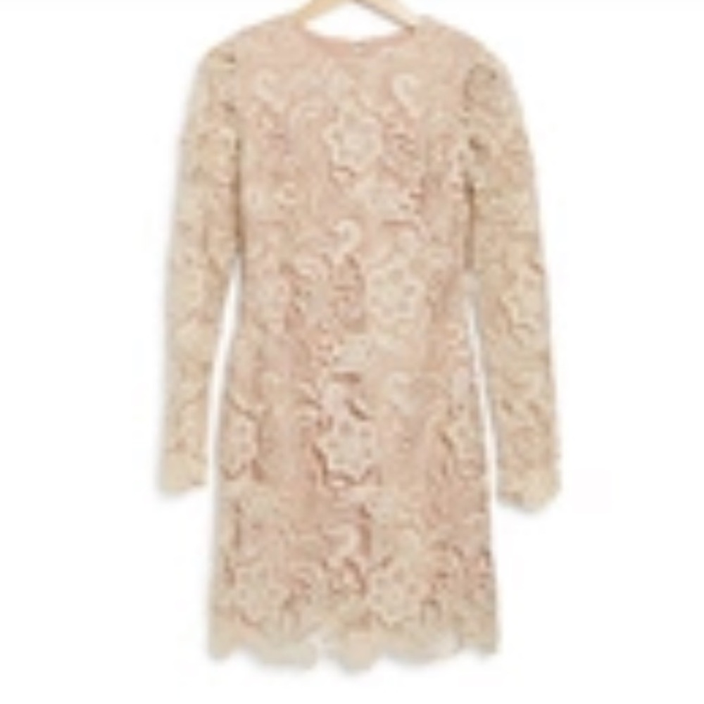 Dress the Population Clara Long Sleeve Crochet
Lace Dress